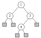 arbre avec naouds étendus