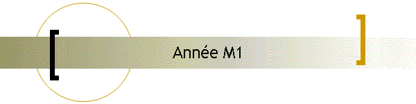 Anne M1